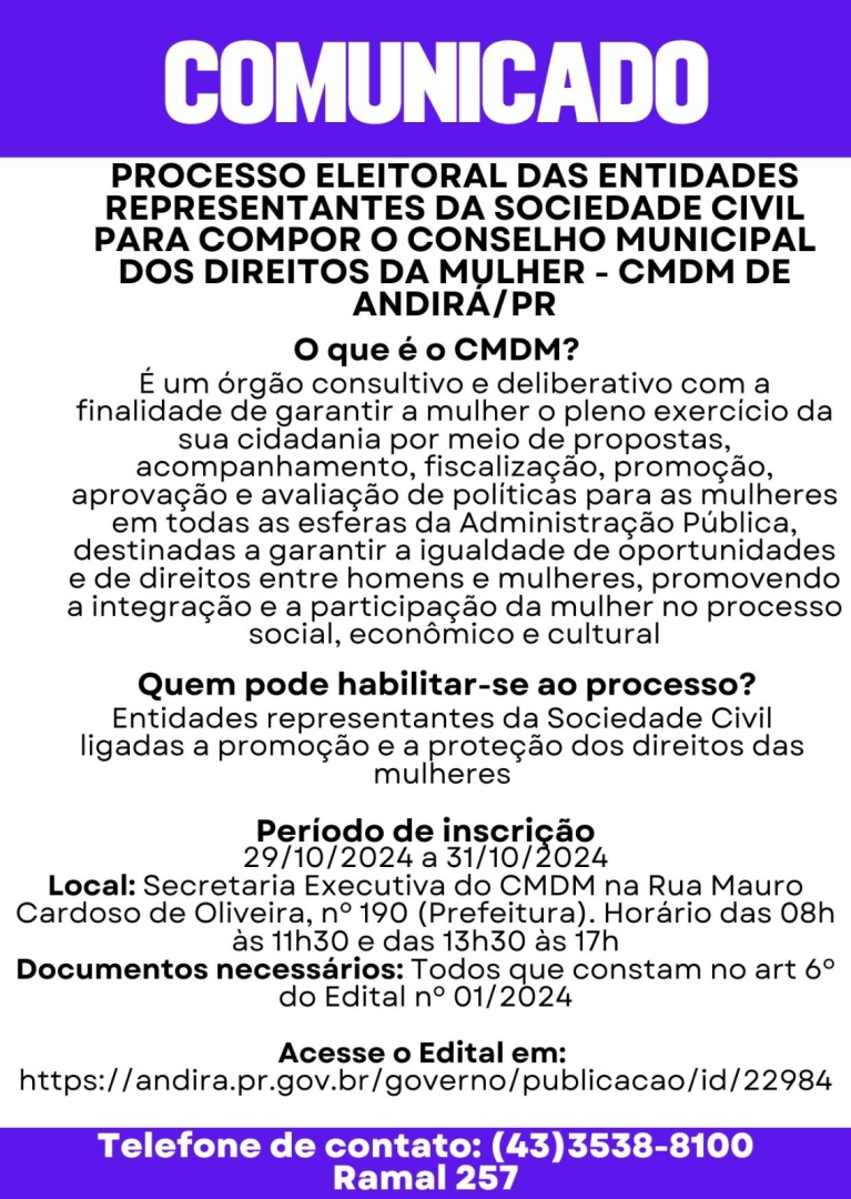 Processo Eleitoral das entidades representantes da Sociedade Civil para compor o Conselho Tutelar Municipal dos Direitos da Mulher - CMDM de Andirá/Pr